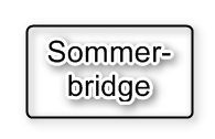 Bernt Ivar opp i ledelsen av sommerbridgen