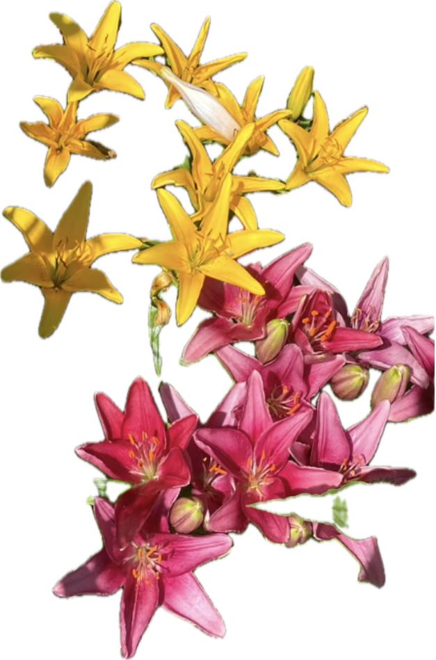 Sommeren - og dermed også sommerbridgen - er her