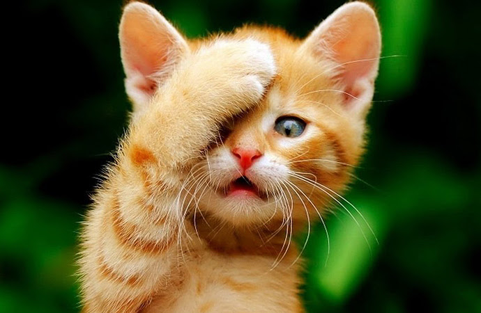 NB!!! Måndag 24. vert det heller  ikkje speling, grunna stort Sydenfråfall. 